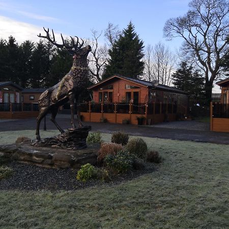 12 Burnside Lodge Auchterarder Eksteriør billede