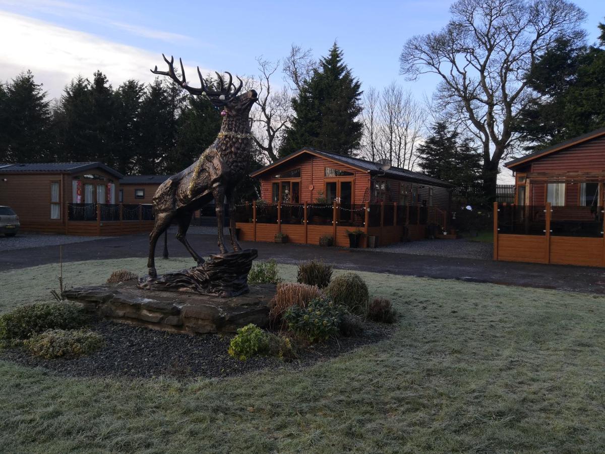 12 Burnside Lodge Auchterarder Eksteriør billede